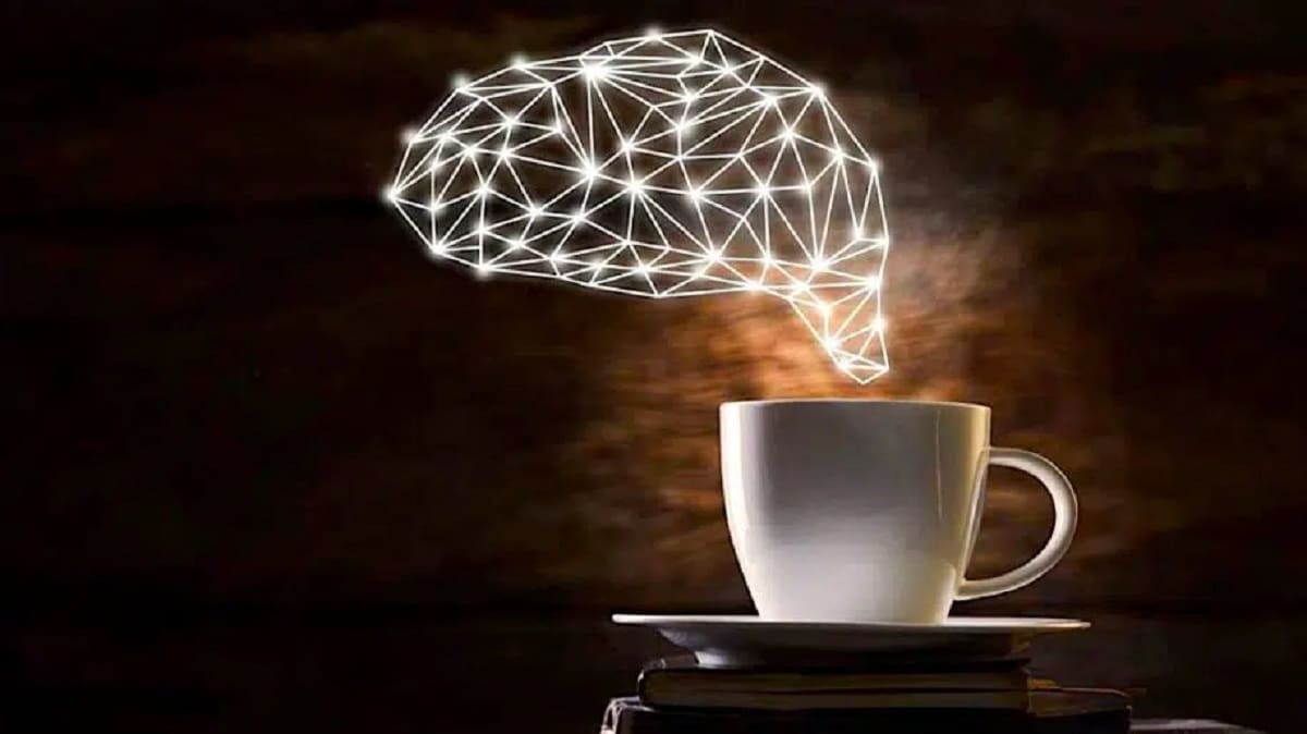 Trop de café réduit le volume du cerveau